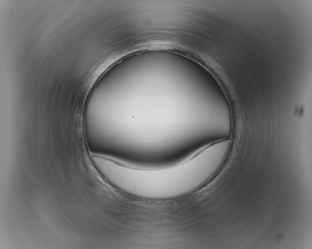 X0000114991473200911091323