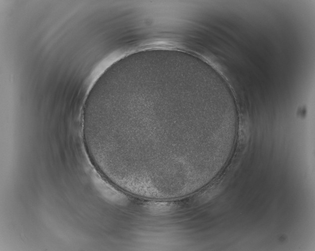 X0000114991474200911091323
