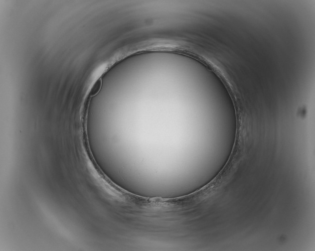 X0000114991475200911091323
