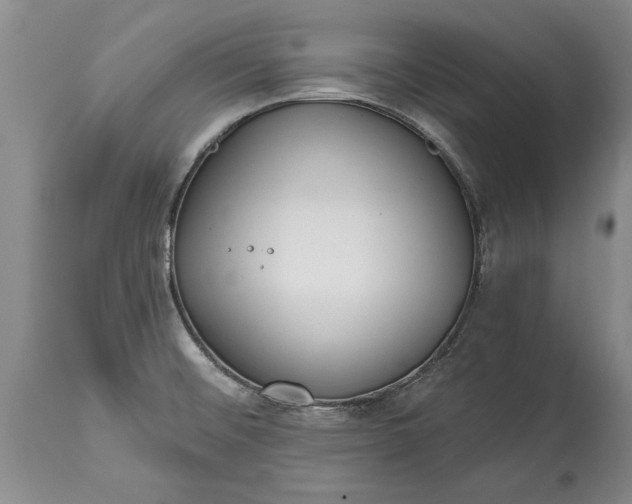 X0000114991476200911091323