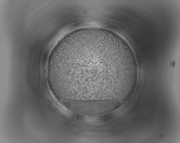 X0000114991477200911091323