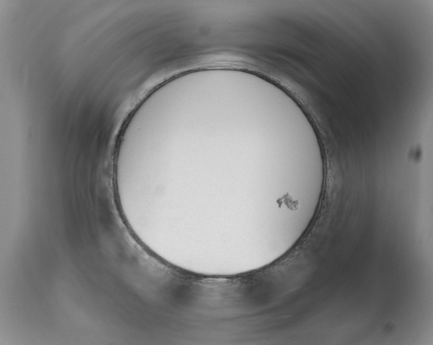 X0000114991478200911091323