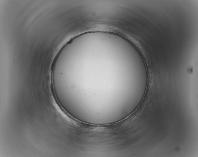 X0000114991479200911091323