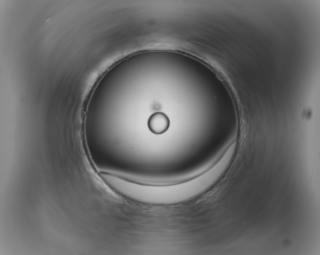 X0000114991480200911091323