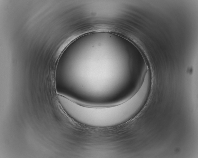 X0000114991481200911091323