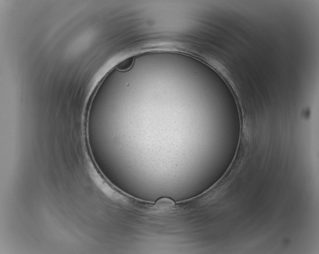 X0000114991482200911091323