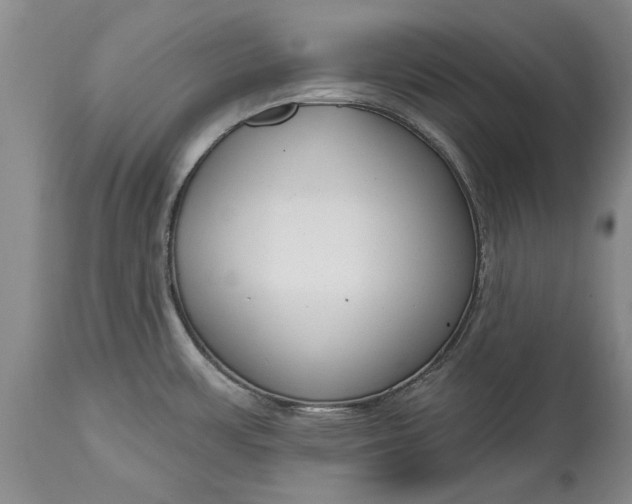 X0000114991483200911091323