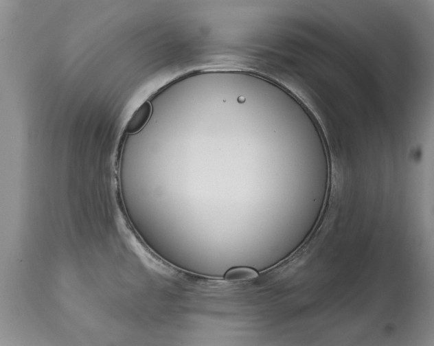 X0000114991485200911091323