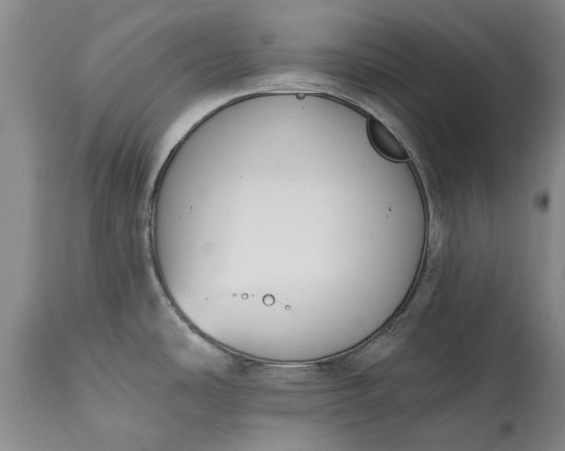 X0000114991486200911091323
