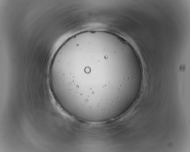 X0000114991488200911091323