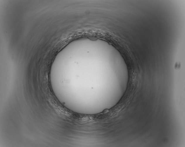 X0000114991489200911091322
