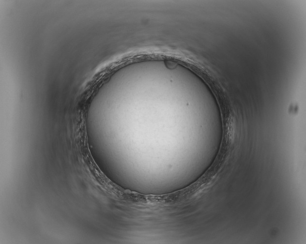 X0000114991494200911091322