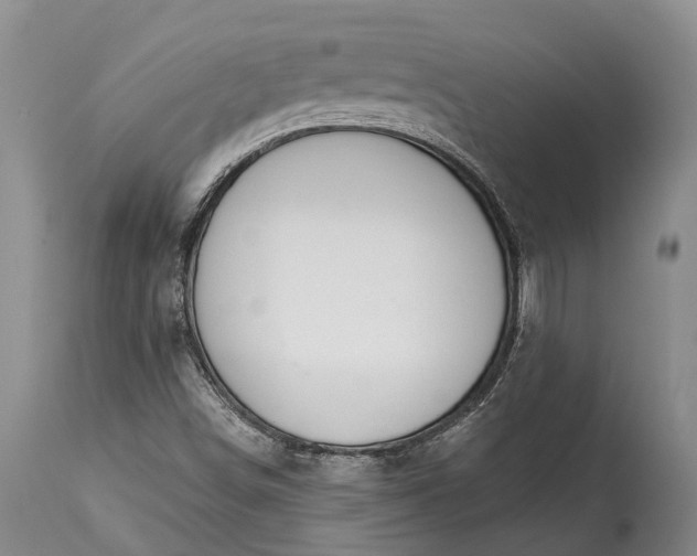 X0000114991498200911091322