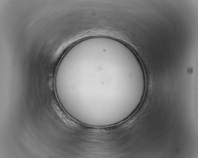 X0000114991499200911091322