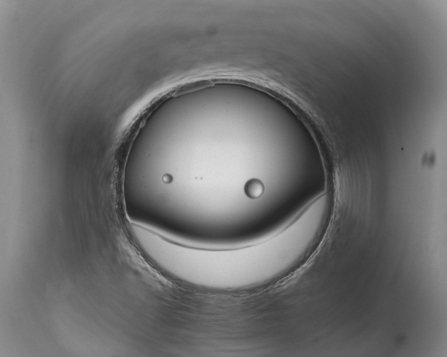 X0000114991502200911091323