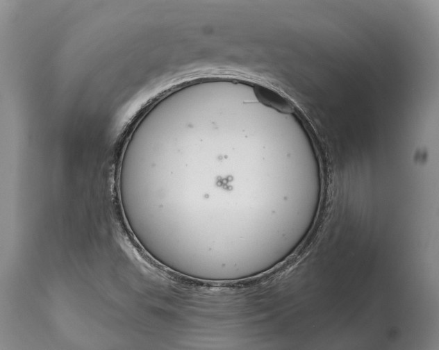 X0000114991503200911091323