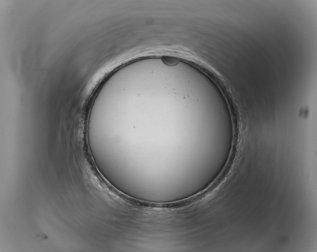 X0000114991506200911091323