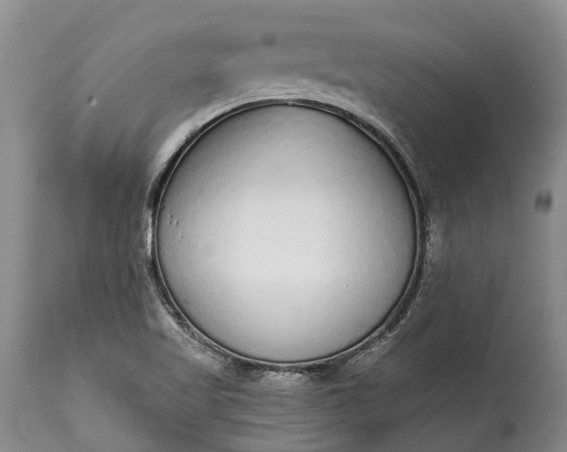 X0000114991509200911091323