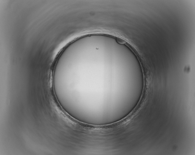 X0000114991510200911091323