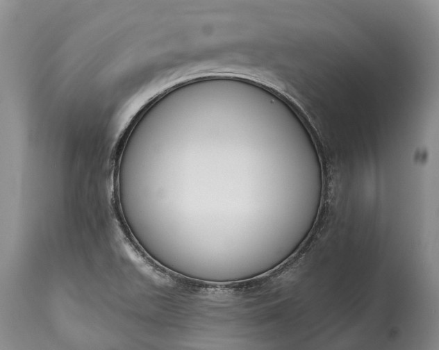 X0000114991511200911091323