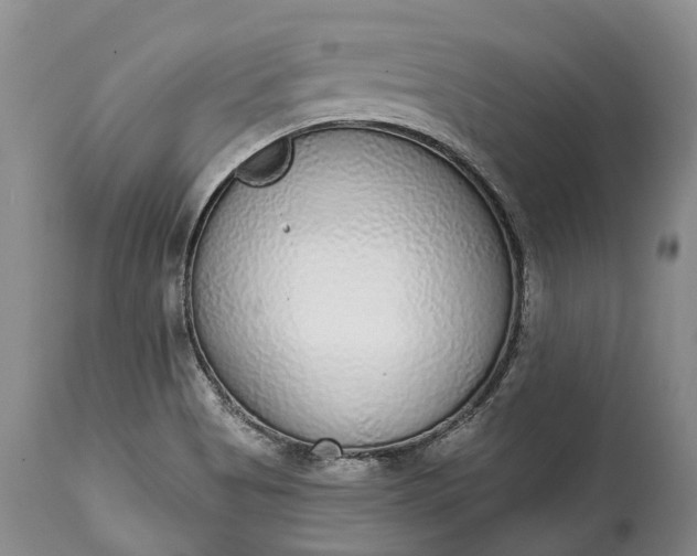 X0000114991513200911091323