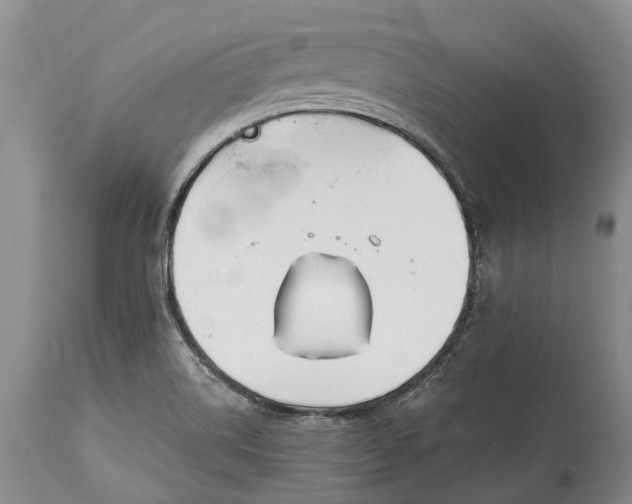 X0000114991514200911091323