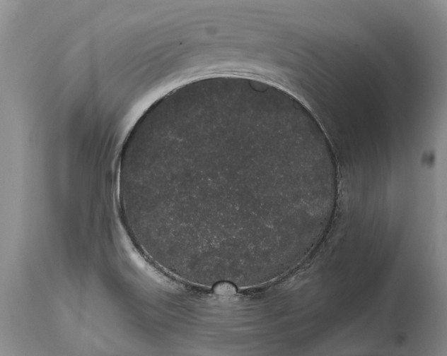 X0000114991515200911091323