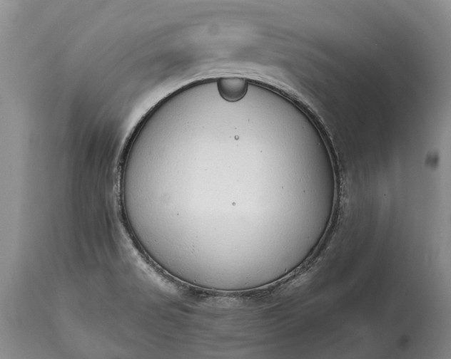 X0000114991517200911091323