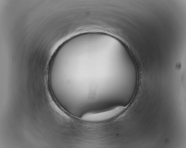 X0000114991518200911091323