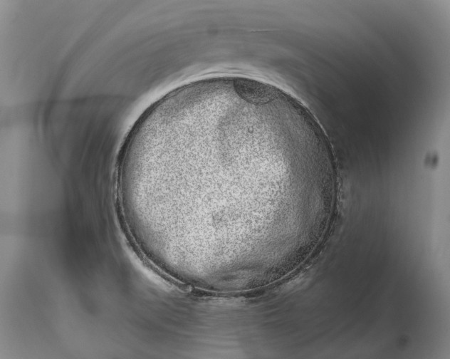 X0000114991519200911091323