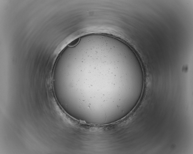 X0000114991521200911091323