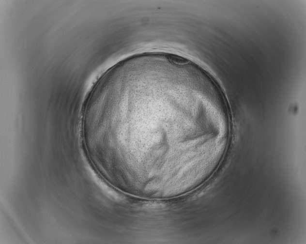 X0000114991525200911091323