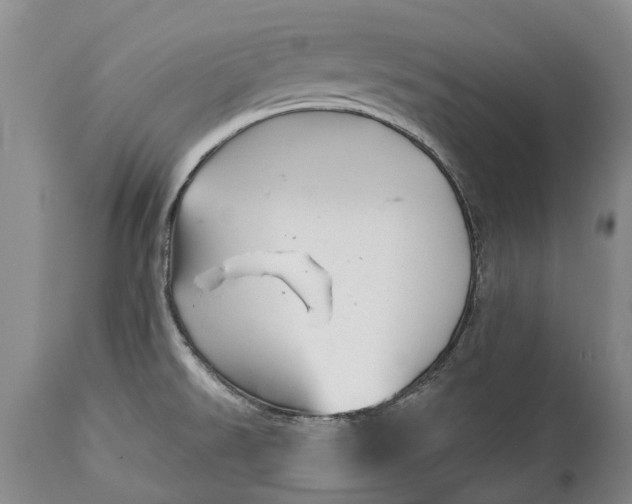 X0000114991526200911091323