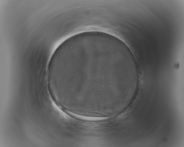X0000114991527200911091323