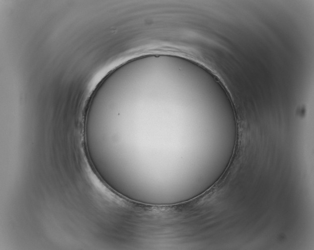 X0000114991531200911091323