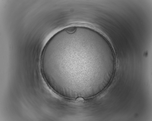 X0000114991533200911091323