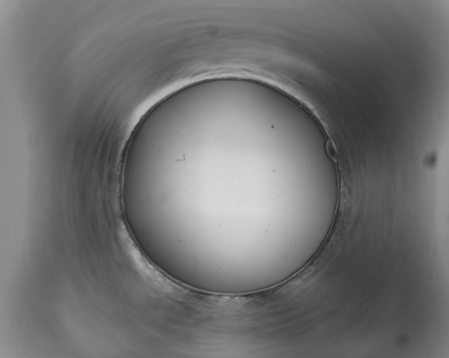X0000114991534200911091323
