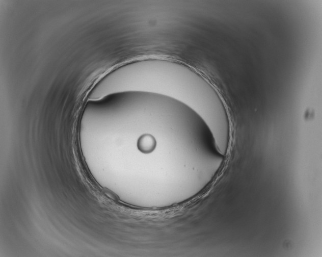 X0000114990001200911161524