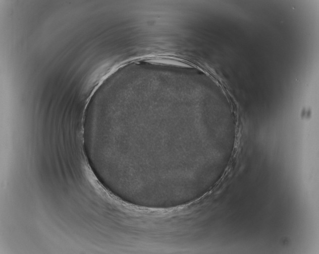 X0000114990002200911161524