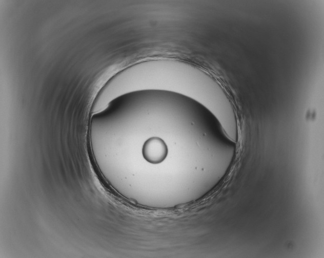 X0000114990003200911161524