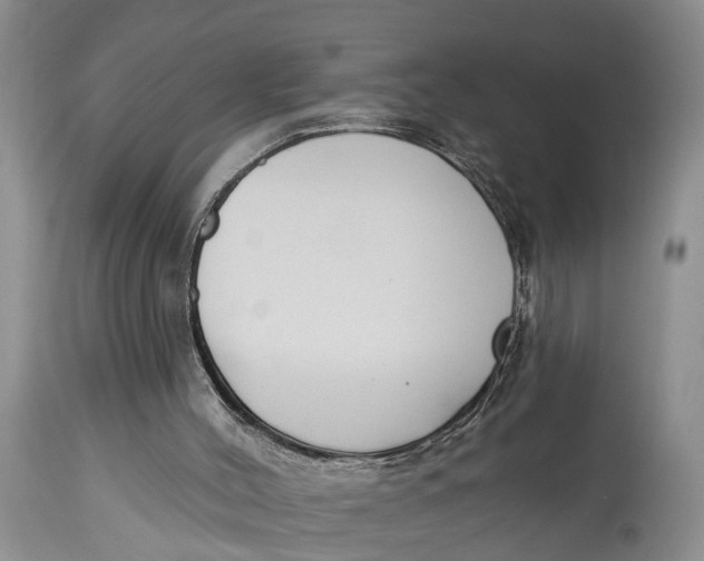 X0000114990004200911161524