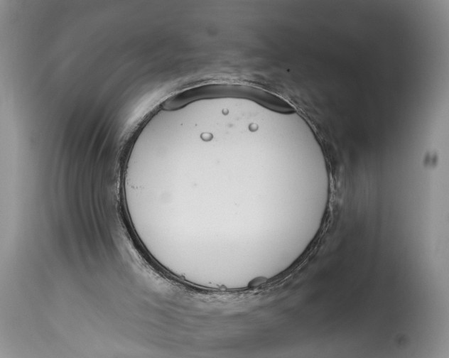 X0000114990005200911161524