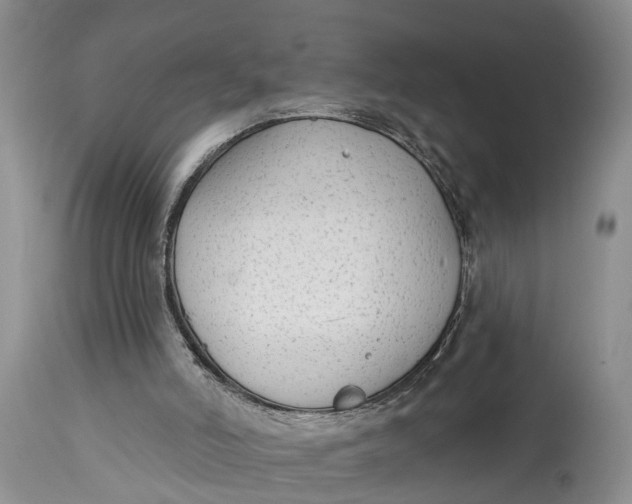 X0000114990006200911161524