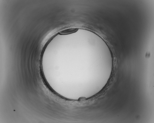 X0000114990007200911161524