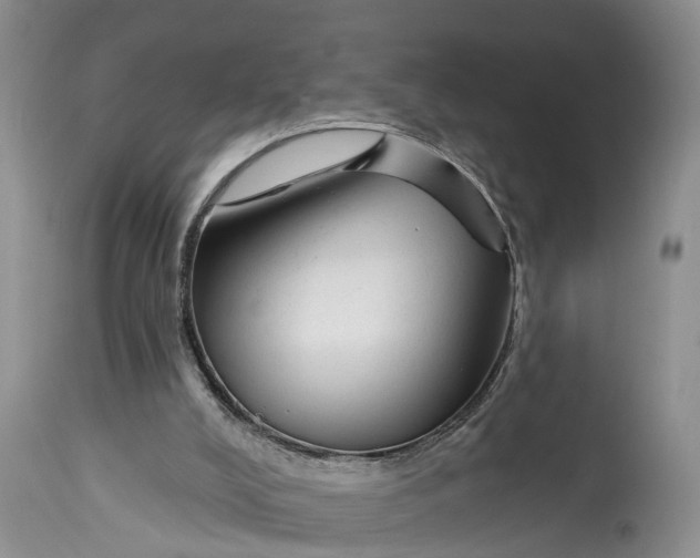 X0000114990008200911161524