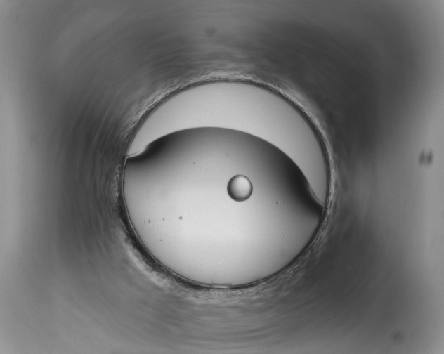 X0000114990009200911161524