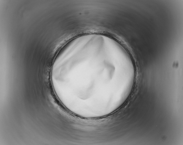 X0000114990010200911161524