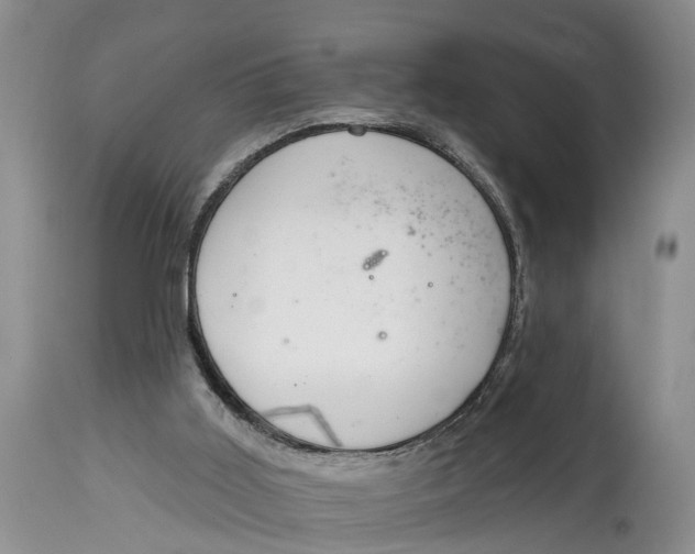 X0000114990011200911161524