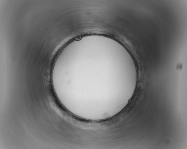 X0000114990012200911161524