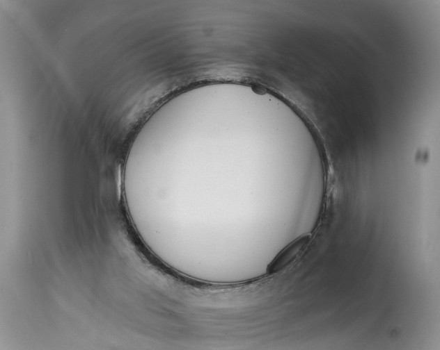 X0000114990013200911161524